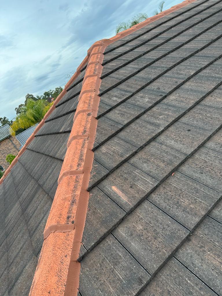 Sydney Roof Repointing & Repairs